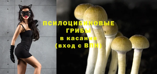синтетический гашиш Новозыбков