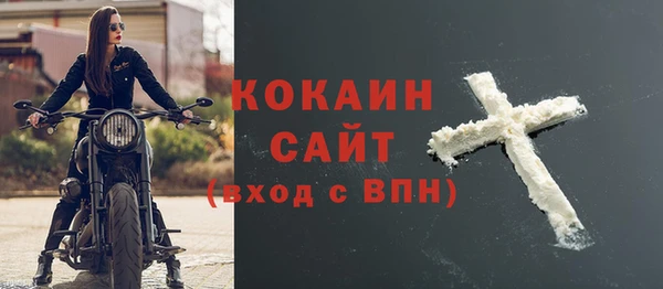 шишки Новокубанск