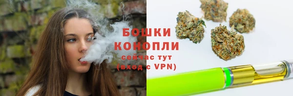 шишки Новокубанск