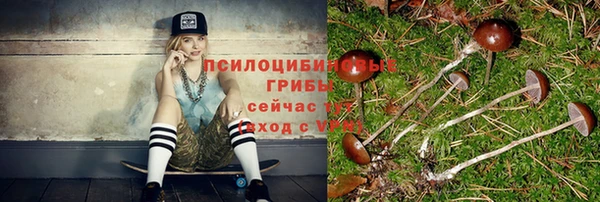 трава Новодвинск