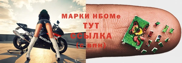 шишки Новокубанск